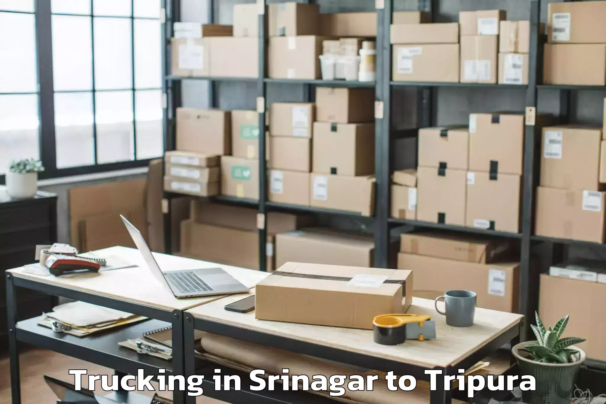 Easy Srinagar to Amarpur Gomati Trucking Booking